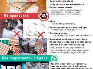 «Zдай бумагу – помоги СВОим»